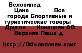 Велосипед Viva Castle › Цена ­ 14 000 - Все города Спортивные и туристические товары » Другое   . Ненецкий АО,Верхняя Пеша д.